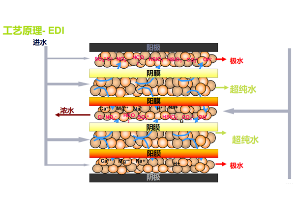 EDI超纯水系统 EDI超纯水系统